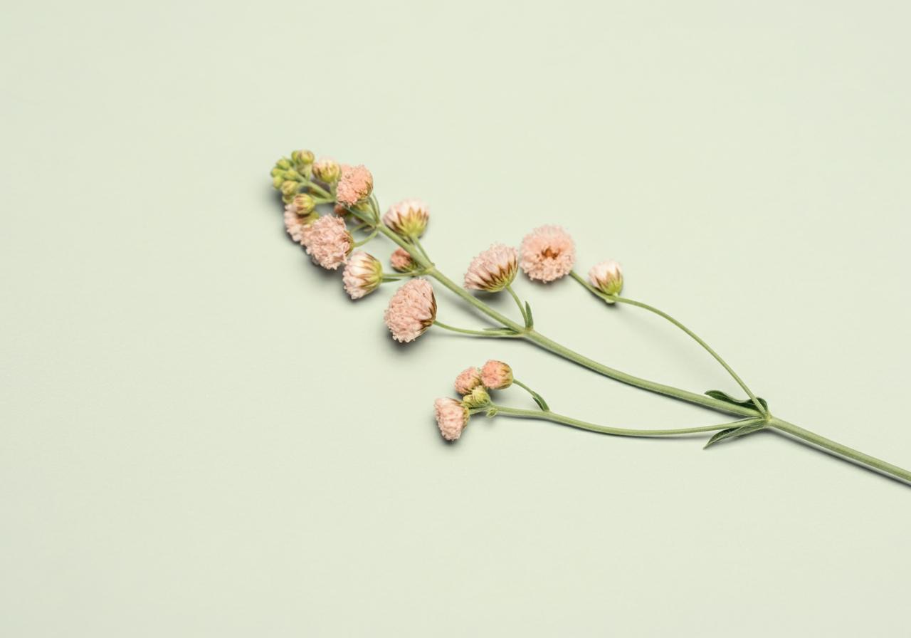 How to Address Recurring BV with Same Partner Effectively